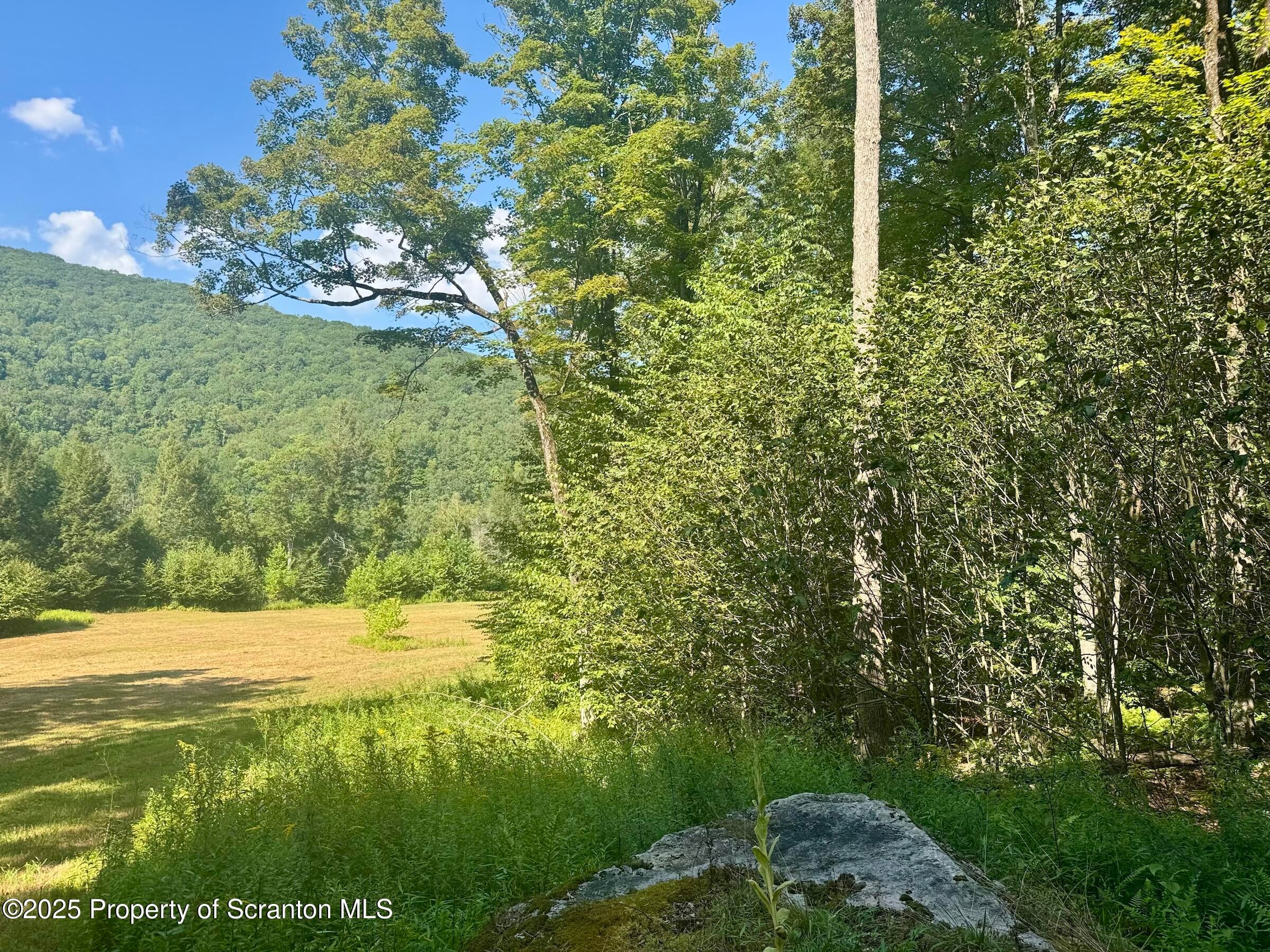 Equinunk, Pennsylvania, 18417, United States, 3 Bedrooms Bedrooms, ,3 BathroomsBathrooms,Residential,Active,1922535