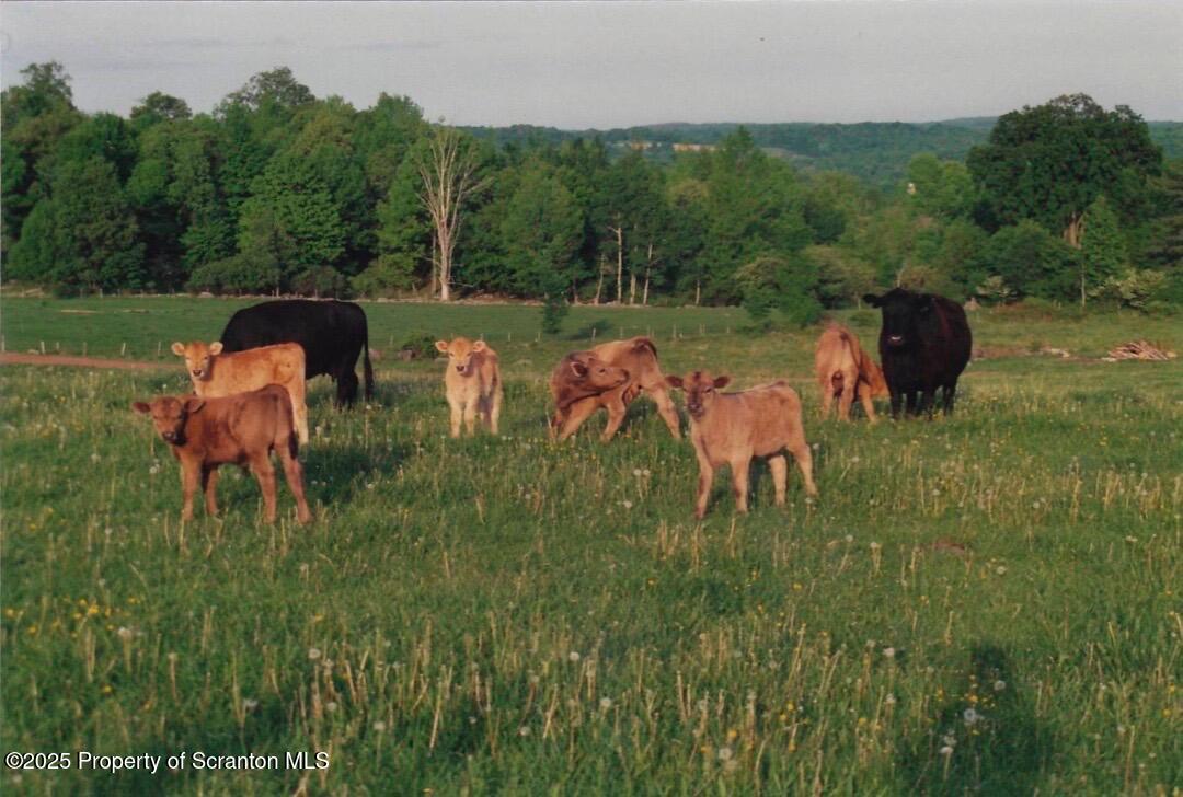 Honesdale, Pennsylvania, 18431, United States, ,4 BathroomsBathrooms,Residential,Active,1860241