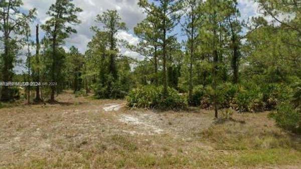 2321 MCARTHUR AVE, ALVA, FL 33920 - Image 1