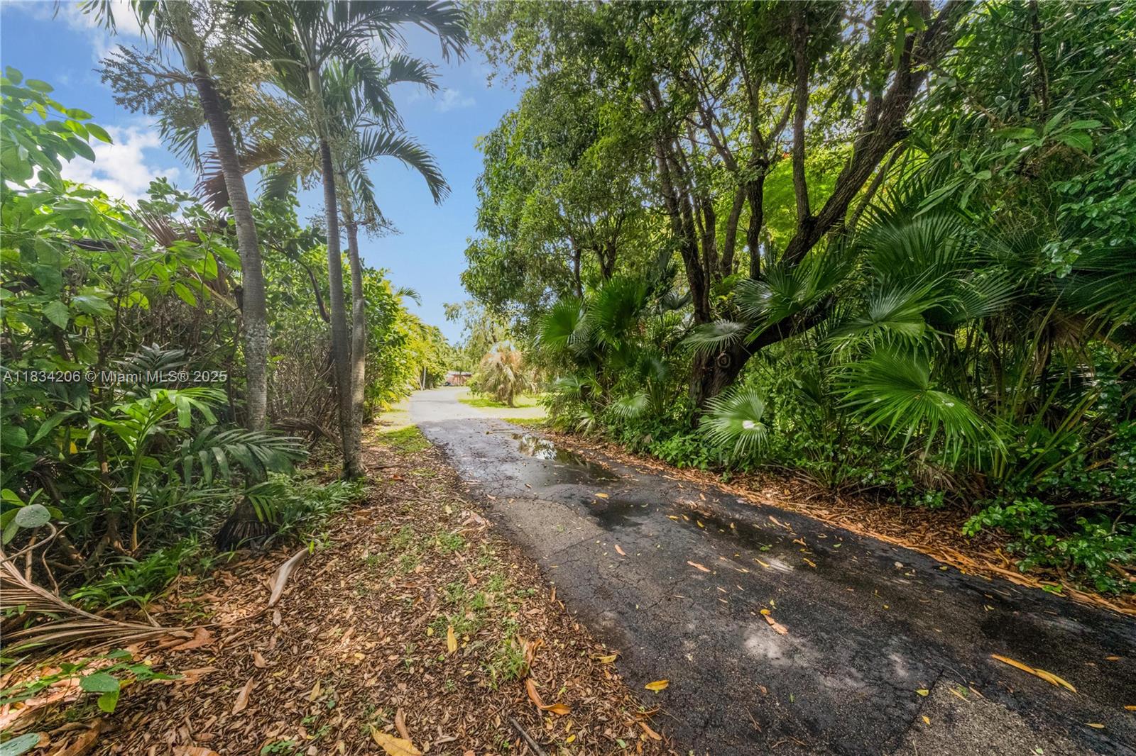 Pinecrest, Florida, 33156, United States, 3 Bedrooms Bedrooms, ,2 BathroomsBathrooms,Residential,Active,1884905