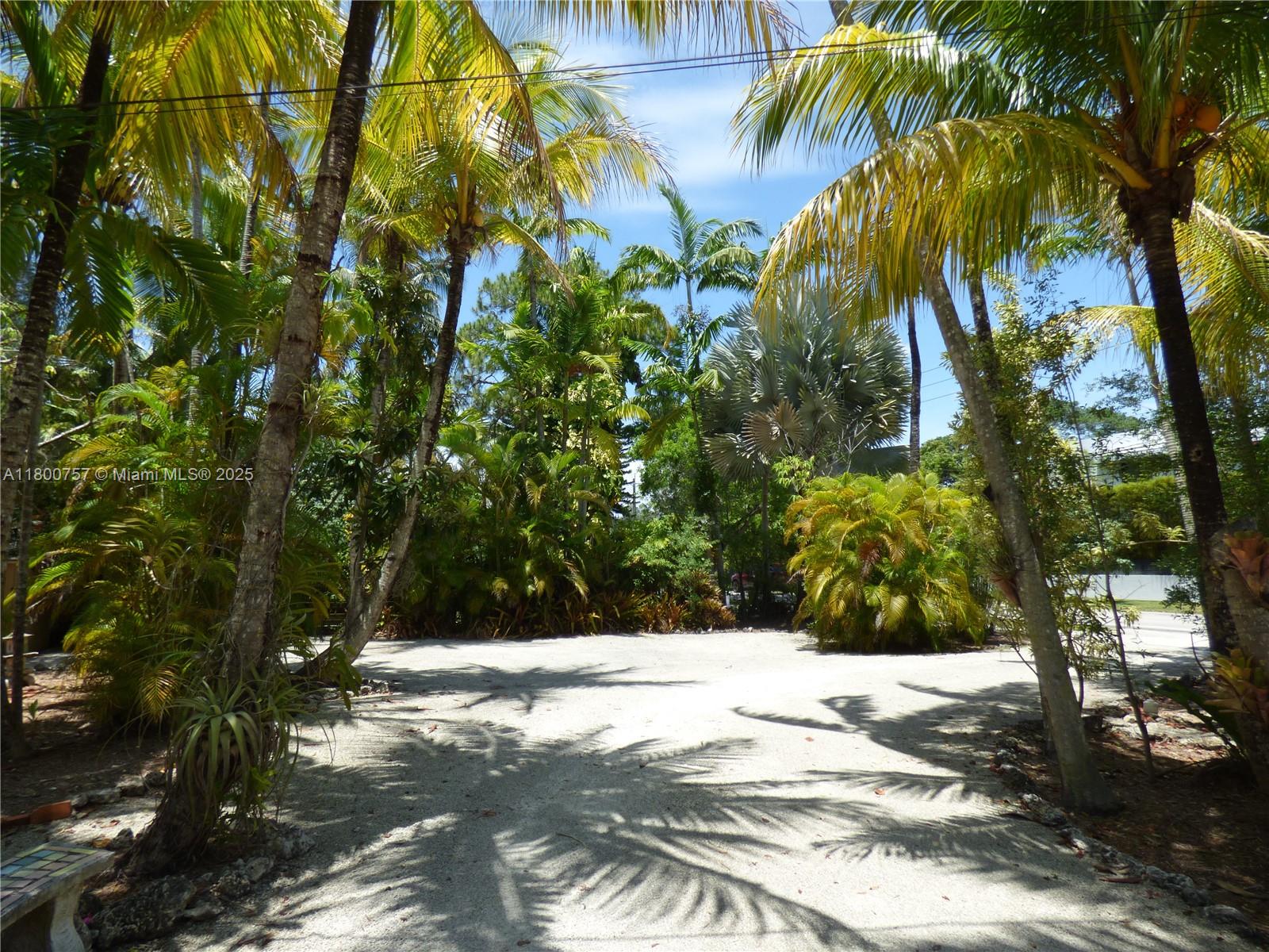 South Miami, Florida, 33143, United States, 4 Bedrooms Bedrooms, ,4 BathroomsBathrooms,Residential,Active,1800158