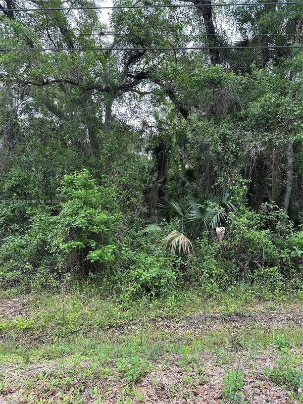 2107 BAYBERRY ST, OTHER CITY - IN THE STATE OF FLORIDA, FL 32110, photo 1