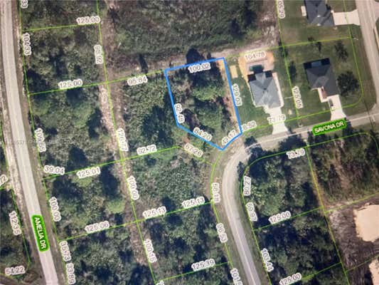 5539 SAVONA DR, SEBRING, FL 33872 - Image 1