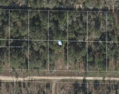 LOT 23 NE 15TH LN, WILLISTON, FL 32696, photo 2 of 2