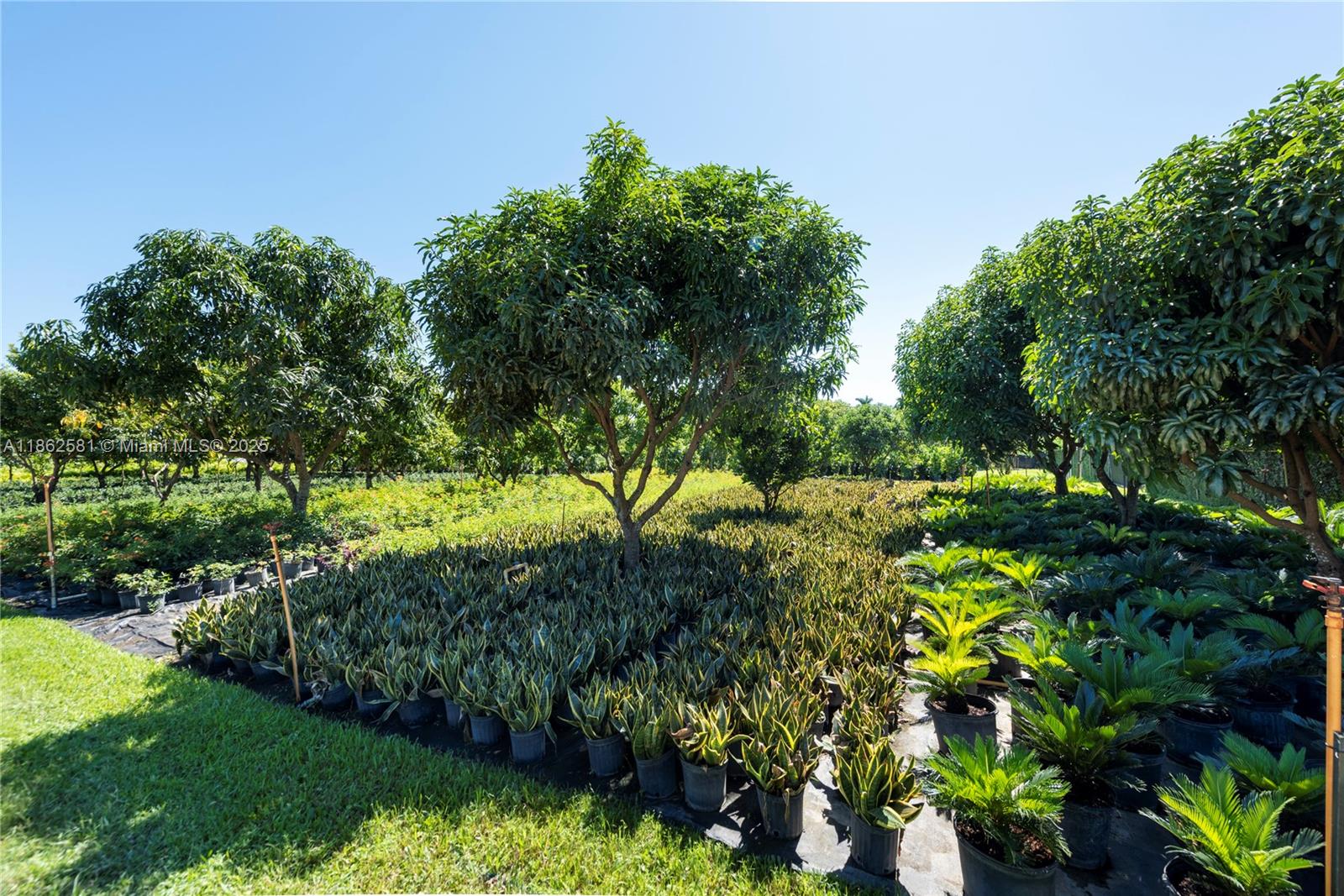 Southwest Ranches, Florida, 33332, United States, 3 Bedrooms Bedrooms, ,2 BathroomsBathrooms,Residential,Active,1920282