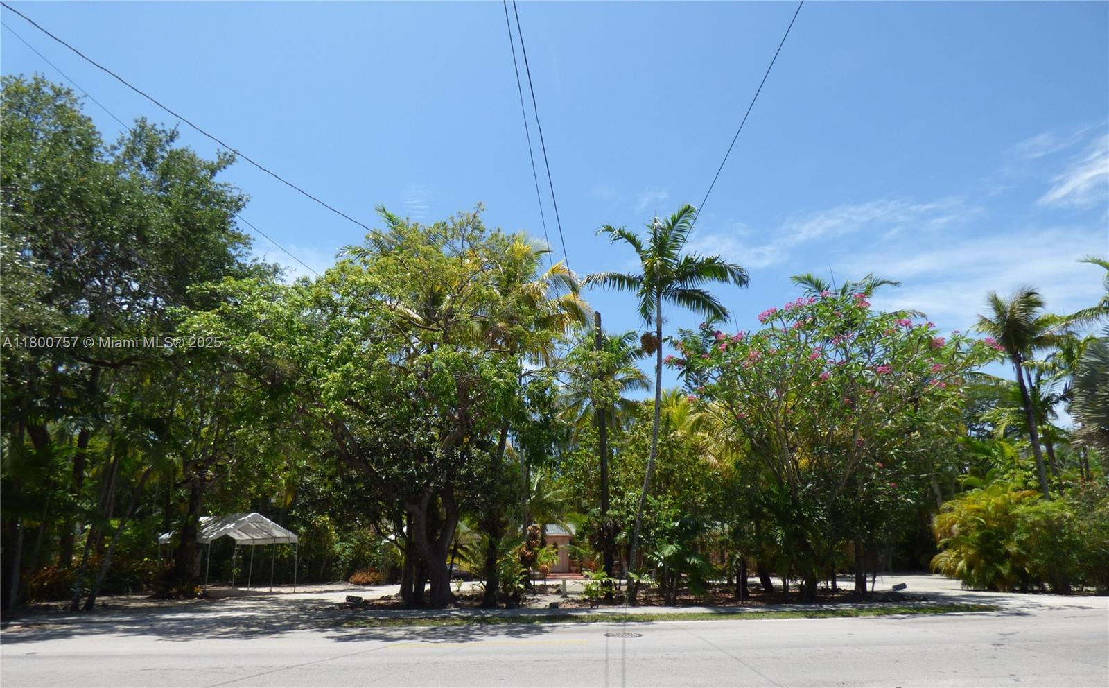 South Miami, Florida, 33143, United States, 4 Bedrooms Bedrooms, ,4 BathroomsBathrooms,Residential,Active,1800158