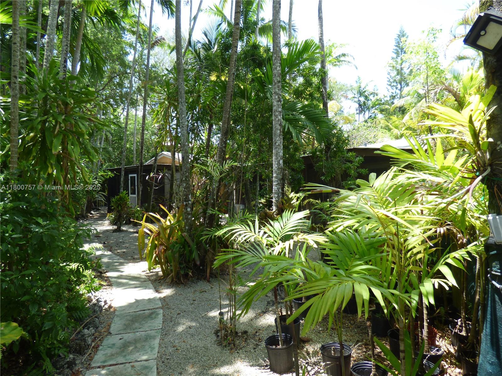 South Miami, Florida, 33143, United States, 4 Bedrooms Bedrooms, ,4 BathroomsBathrooms,Residential,Active,1800158