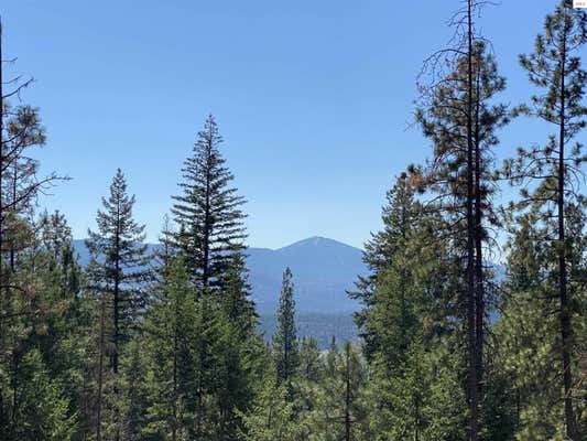 NNA STONE RD LOT 1, BLANCHARD, ID 83804 - Image 1