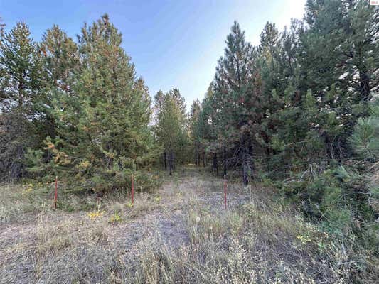 NKA HIGHWAY 41 - LOT 5, BLANCHARD, ID 83804 - Image 1