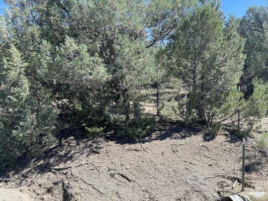 TBD BLK 11, LOT 6, LOS OJOS, NM 87575 - Image 1