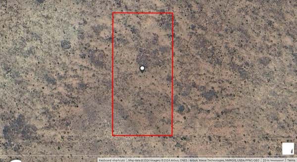 5 ACRES LOT 11, TUCUMCARI, NM 88421 - Image 1