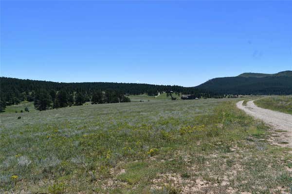 434 HIGHWAY 94, SAPELLO, NM 87745 - Image 1