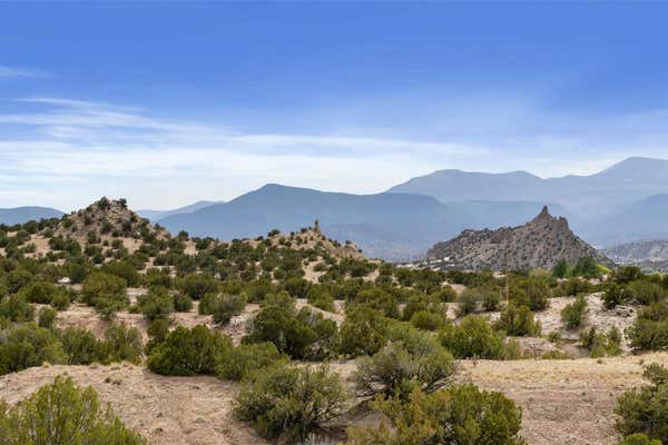 1 RANCHO DE SAN JUAN RD, OJO CALIENTE, NM 87549 - Image 1