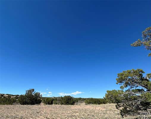 TBD 37-B EL RITO ESTATES, ABIQUIU, NM 87510 - Image 1