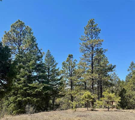 2A CR 349, CHAMA, NM 87520 - Image 1