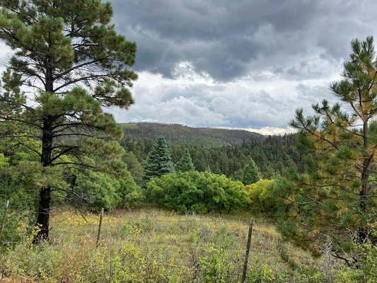 TRACT 1 LA SIERRA ROAD, HOLMAN, NM 87723 - Image 1