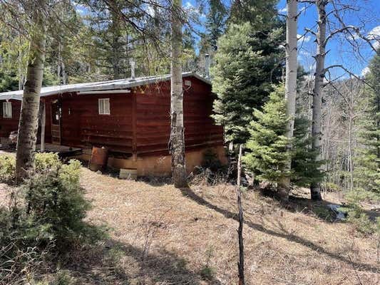 321 IRON GATE RD, TERERRO, NM 87573 - Image 1