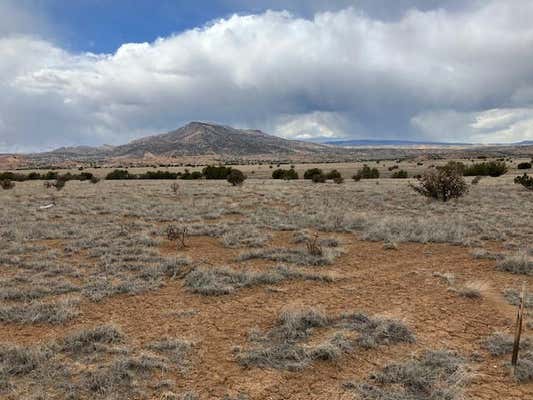 1 ACRE READ BLUFF ROAD, ABIQUIU, NM 87510 - Image 1