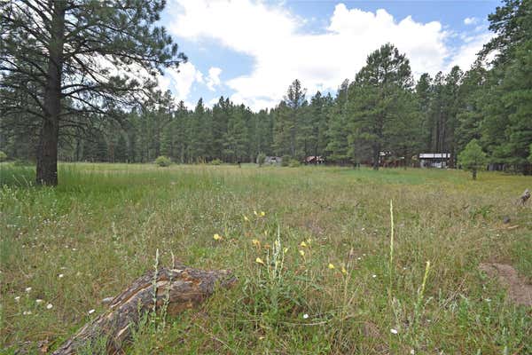 1 HIDDEN VALLEY RD, JEMEZ SPRINGS, NM 87025 - Image 1