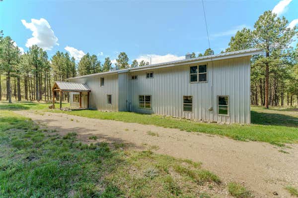 41 SUSAN LN, ANGEL FIRE, NM 87710 - Image 1