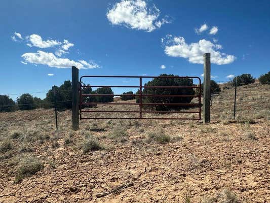 STATE ROAD 554 10.15 ACRE, MEDANALES, NM 87548 - Image 1