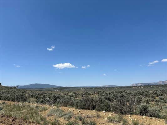 LOT 42 UNIT 8 EL VADO S/D, TIERRA AMARILLA, NM 87575 - Image 1