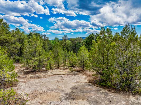 2.38 ACRES OLD COLONIAS, PECOS, NM 87552 - Image 1