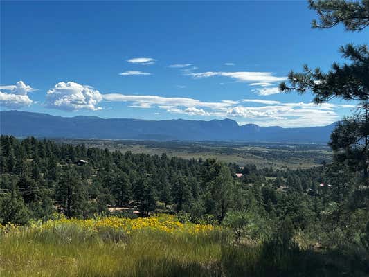 TBD SHROYER DRIVE, LOS OJOS, NM 87551 - Image 1