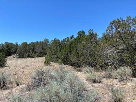 9A CAMINITO DE PINON, SANTA FE, NM 87505, photo 2 of 5