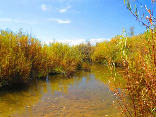 TBD CO RD 218, EL RITO, NM 87530 - Image 1