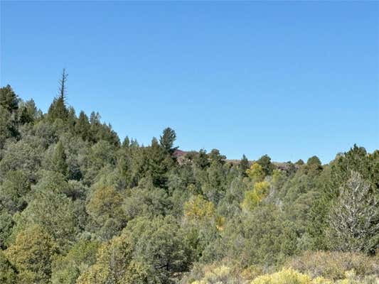 TBD HIGHWAY 285, TRES PIEDRAS, NM 87577 - Image 1