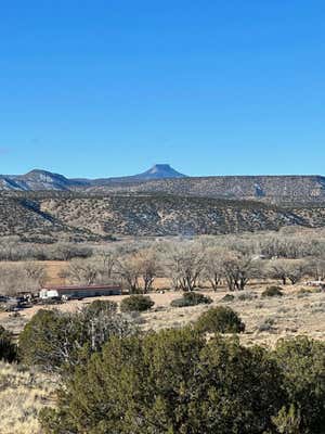 TBD DUANE STREET, ABIQUIU, NM 87510 - Image 1