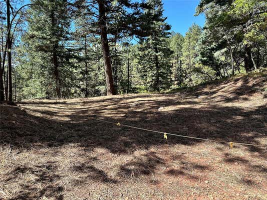 TRACT 7G HIGHLAND RD # UNIT 3, CHAMA, NM 87520 - Image 1