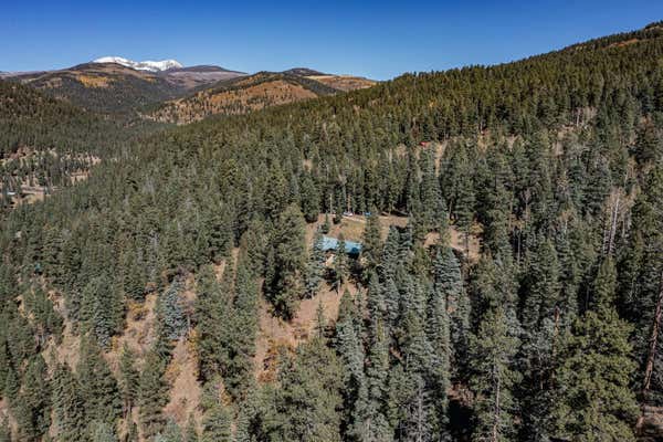 12 PINE LN, TERERRO, NM 87573 - Image 1