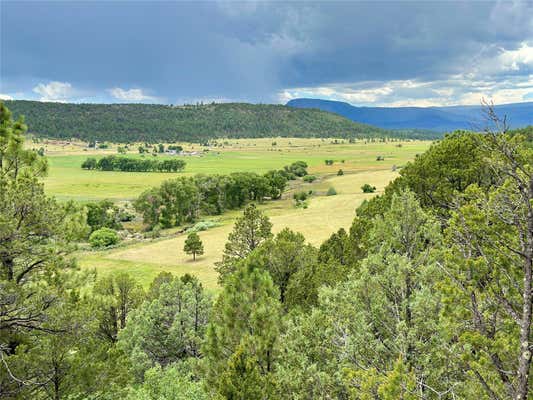 SAPELLO RIVER RETREAT, SAPELLO, NM 87745 - Image 1