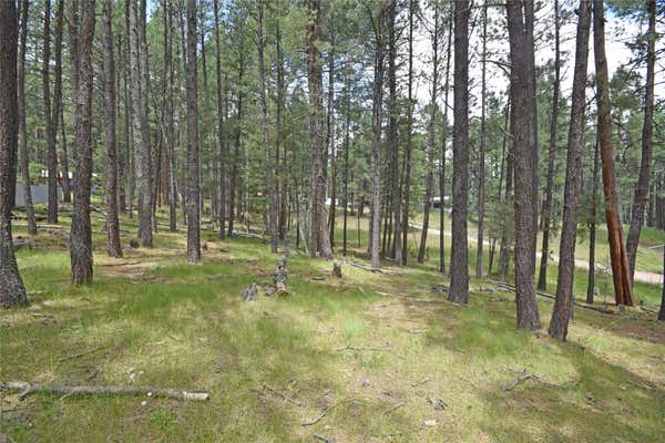 LOTS 2 AND 3 HIDDEN VALLEY ROAD, JEMEZ SPRINGS, NM 87025 - Image 1