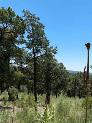 LOT 26 BIRDS OF A FEATHER, PECOS, NM 87552 - Image 1