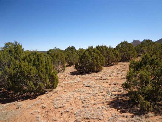 TRACT 2A CAMINO DEL SOL, SERAFINA, NM 87569 - Image 1