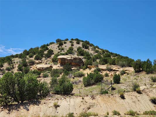 0 OLD MADRID, CERRILLOS, NM 87010 - Image 1