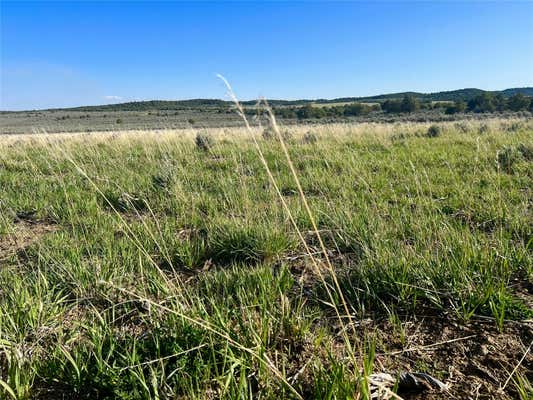 TALAVERA 19, TIERRA AMARILLA, NM 87575 - Image 1