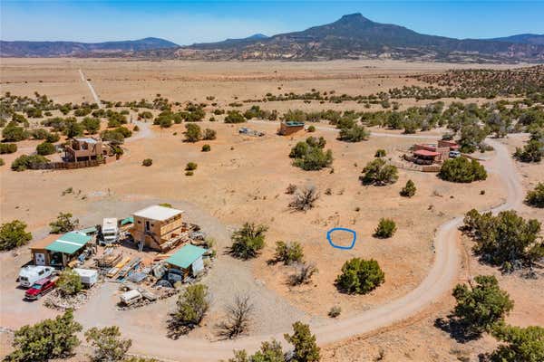 174 HARMONY, ABIQUIU, NM 87510 - Image 1