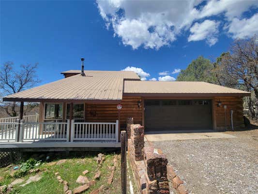 29 BUCK DR, LOS OJOS, NM 87551 - Image 1