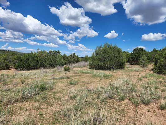 XXXX BRANNON LOOP, TIJERAS, NM 87059 - Image 1