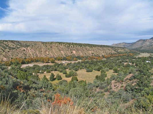 142 CATWALK RD # PARCELA, GLENWOOD, NM 88039 - Image 1