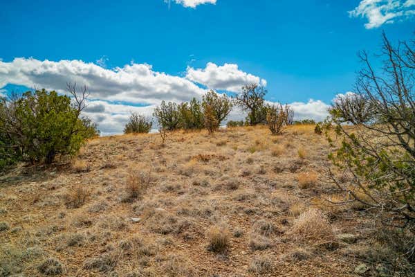 101 SENDERO DE TOHO, CERRILLOS, NM 87010, photo 4 of 58