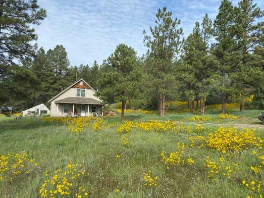 150 FOREST SERVICE ROAD 124, CEBOLLA, NM 87518 - Image 1