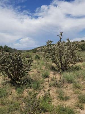 154 PASEO SUDESTE, CERRILLOS, NM 87010 - Image 1