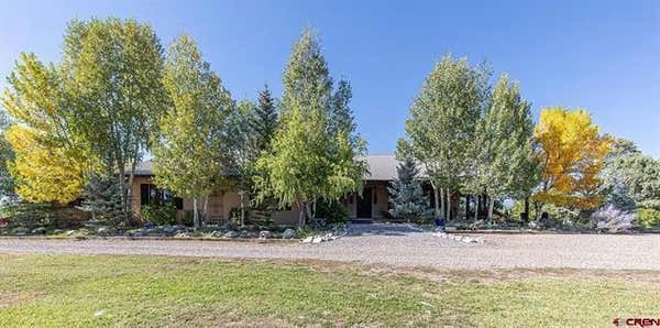 EAST MEADOW #2 COUNTY ROAD 342, CHAMA, NM 87520 - Image 1