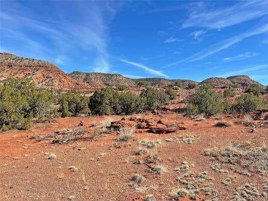 15 CAMINO AMARILLO, JEMEZ PUEBLO, NM 87024 - Image 1