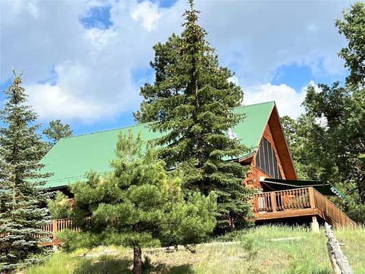 198 COUNTY RD 341, CHAMA, NM 87520 - Image 1